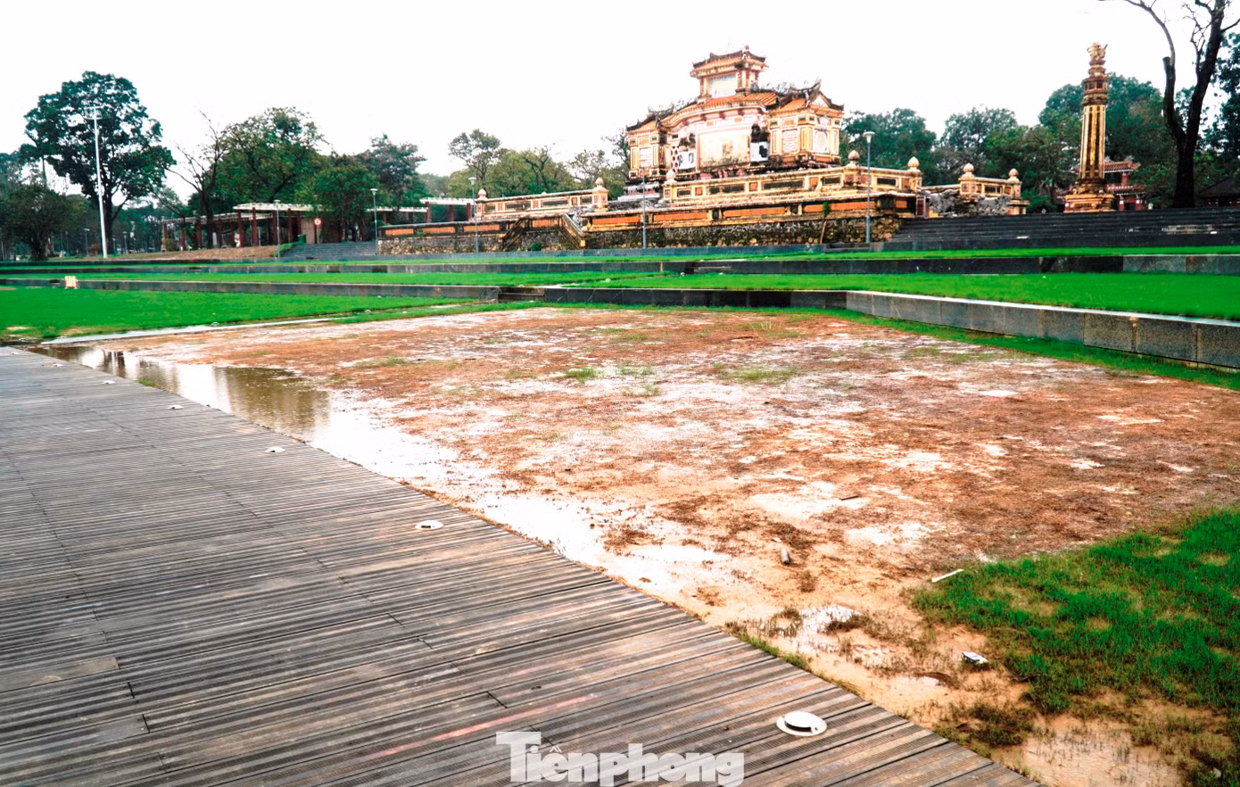 tp-7-bun-lap-duong-dao-go-lim-hue.jpg