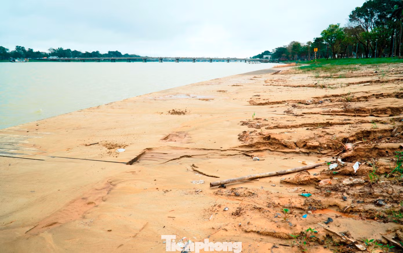 tp-1-bun-lap-duong-dao-go-lim-hue.jpg