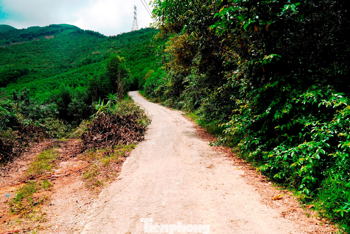 tp-8-quoc-lo-49f-1.jpg