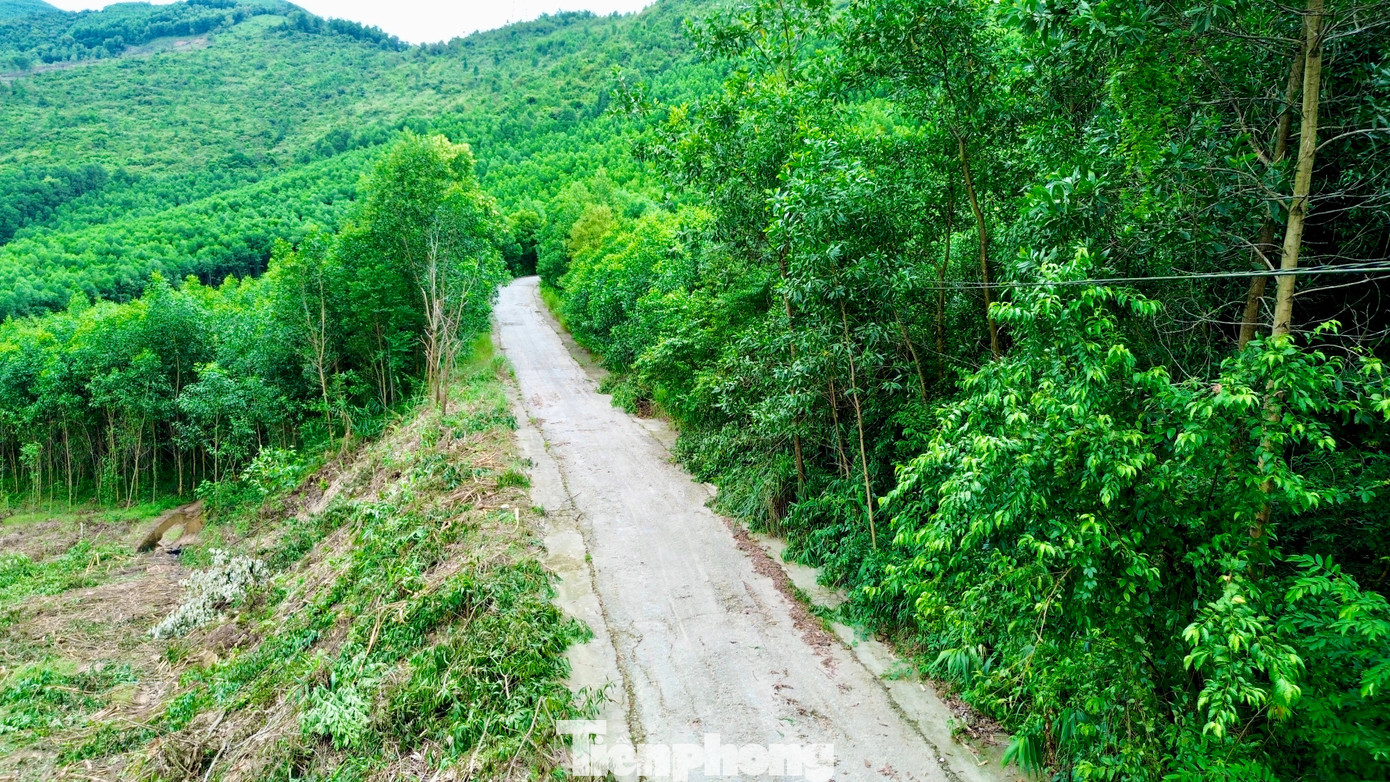 បន្ថែមពីលើតួនាទីរបស់ខ្លួនជាផ្លូវព្រៃឈើដែលមានតំបន់ព្រៃឈើសេដ្ឋកិច្ចជាច្រើន ផ្លូវជាតិលេខ 49F ក៏ត្រូវបានចាត់ទុកថាជាអ័ក្សសេដ្ឋកិច្ច និងពាណិជ្ជកម្មតភ្ជាប់រវាងប្រទេសវៀតណាម និងឡាវផងដែរ។ ប្រធានគណៈកម្មាធិការប្រជាជនឃុំ A Luoi 1 បានឲ្យដឹងថា កំណាត់ផ្លូវជាតិឆ្លងកាត់ឃុំនេះ មានប្រវែងប្រហែល ២៥គីឡូម៉ែត្រ បច្ចុប្បន្នជាផ្លូវដីហុយ បង្កការលំបាកយ៉ាងខ្លាំងដល់ការធ្វើដំណើរ និងការអភិវឌ្ឍន៍សេដ្ឋកិច្ច។ ប្រសិនបើត្រូវបានកែលម្អ និងពង្រីកផ្លូវនេះ នឹងជួយសម្រួលដល់ការដឹកជញ្ជូនកសិផល និងទំនិញ ជំរុញទេសចរណ៍ ហើយក្នុងពេលជាមួយគ្នានេះ កាត់បន្ថយការផ្ទុកនៅលើផ្លូវជាតិលេខ ៤៩A និងបម្រើការដឹកជញ្ជូនធ្យូងថ្ម និងរ៉ែពីឡាវទៅកាន់កំពង់ផែសមុទ្រ Hue ។ tp-4-quoc-lo-49f.jpg