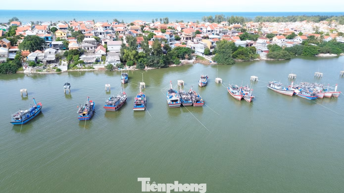 tp-c_5-tau-ca-nam-bo.jpg