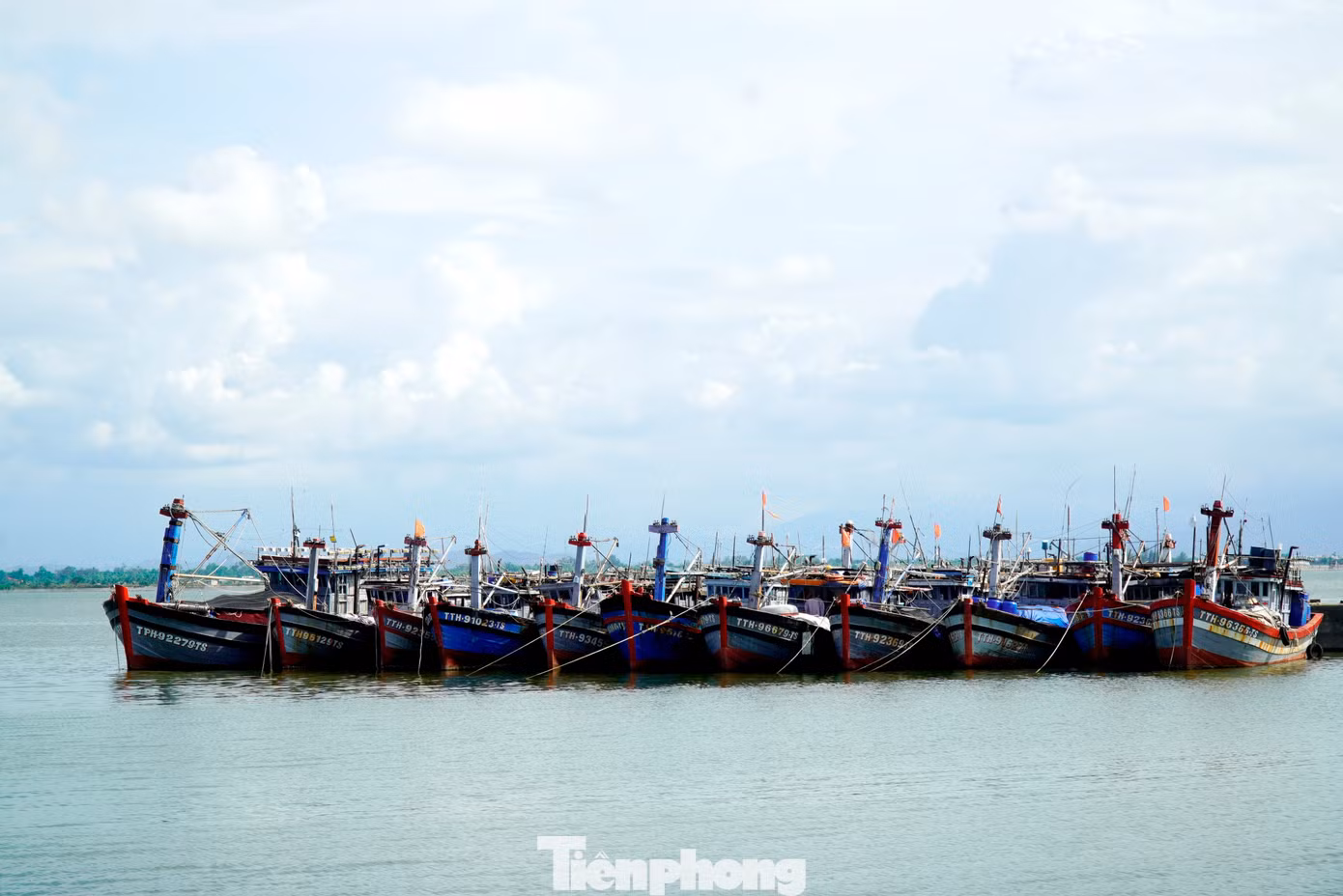 tp-c_6-tau-ca-nam-bo.jpg
