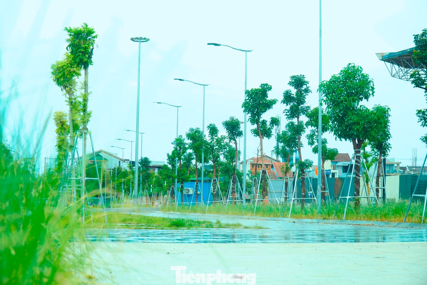 tp-6-quang-truong-van-hoa-the-thao-hue-2.jpg