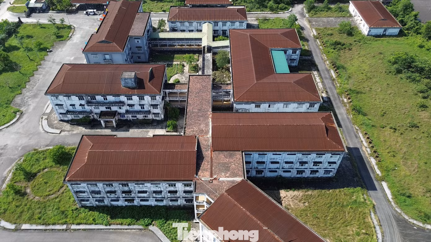 tp-c_dji-035618.jpg