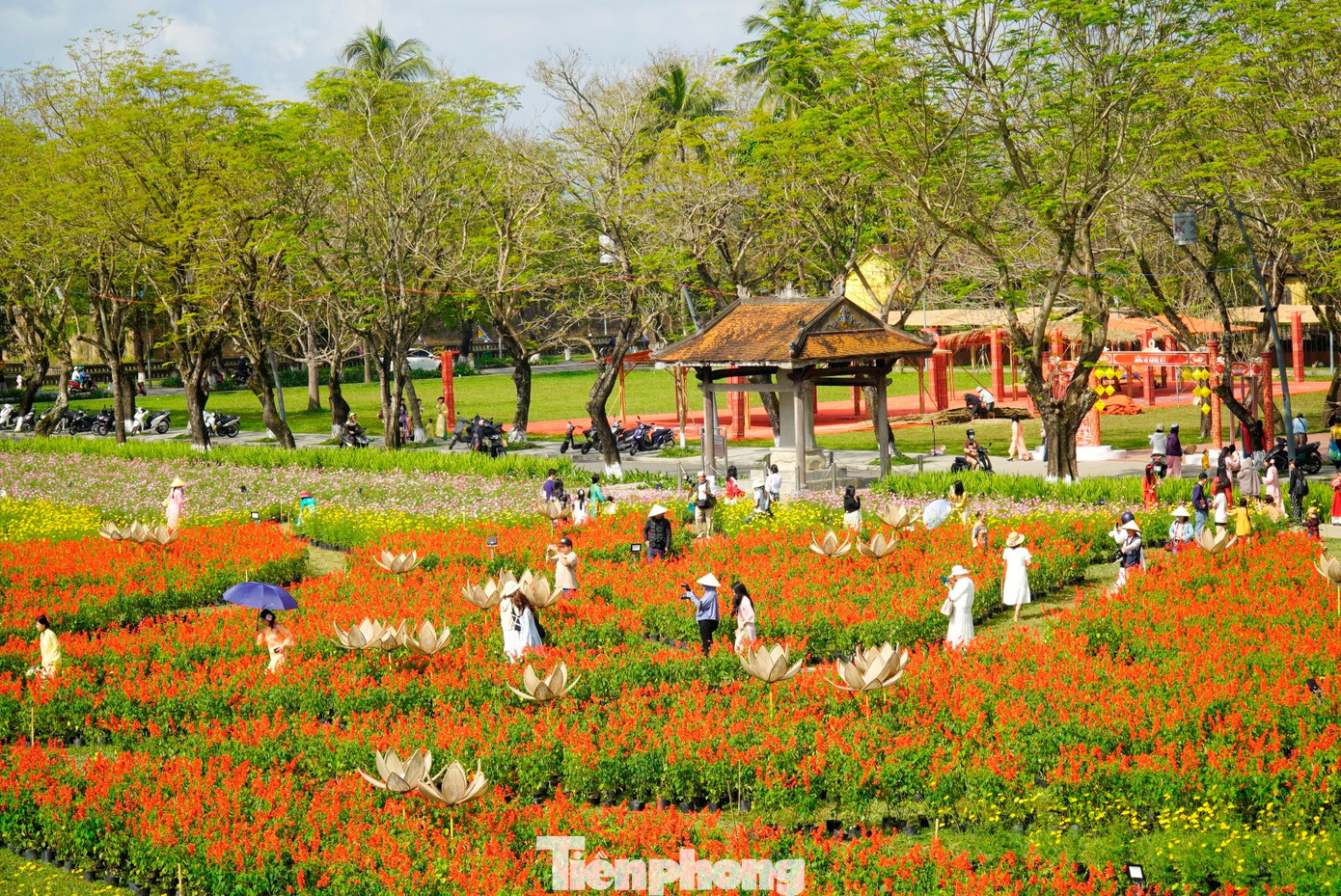 tp-7-vuon-hoa-xuan-hue.jpg