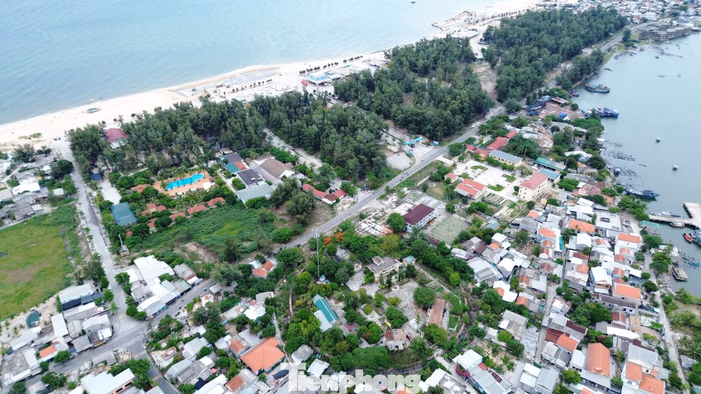 tp-c_2-tran-hai-thanh.jpg
