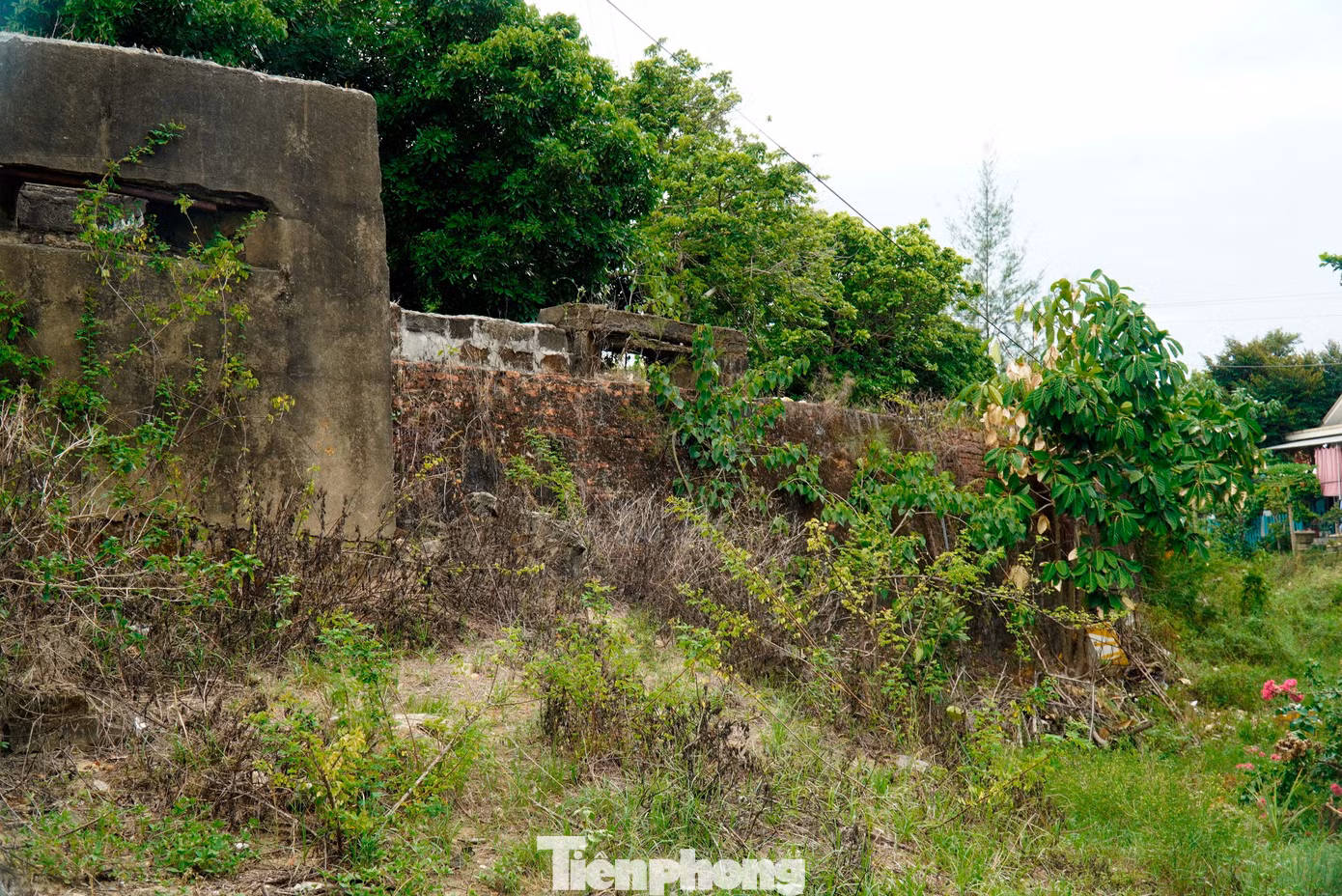 tp-c_8-tran-hai-thanh.jpg