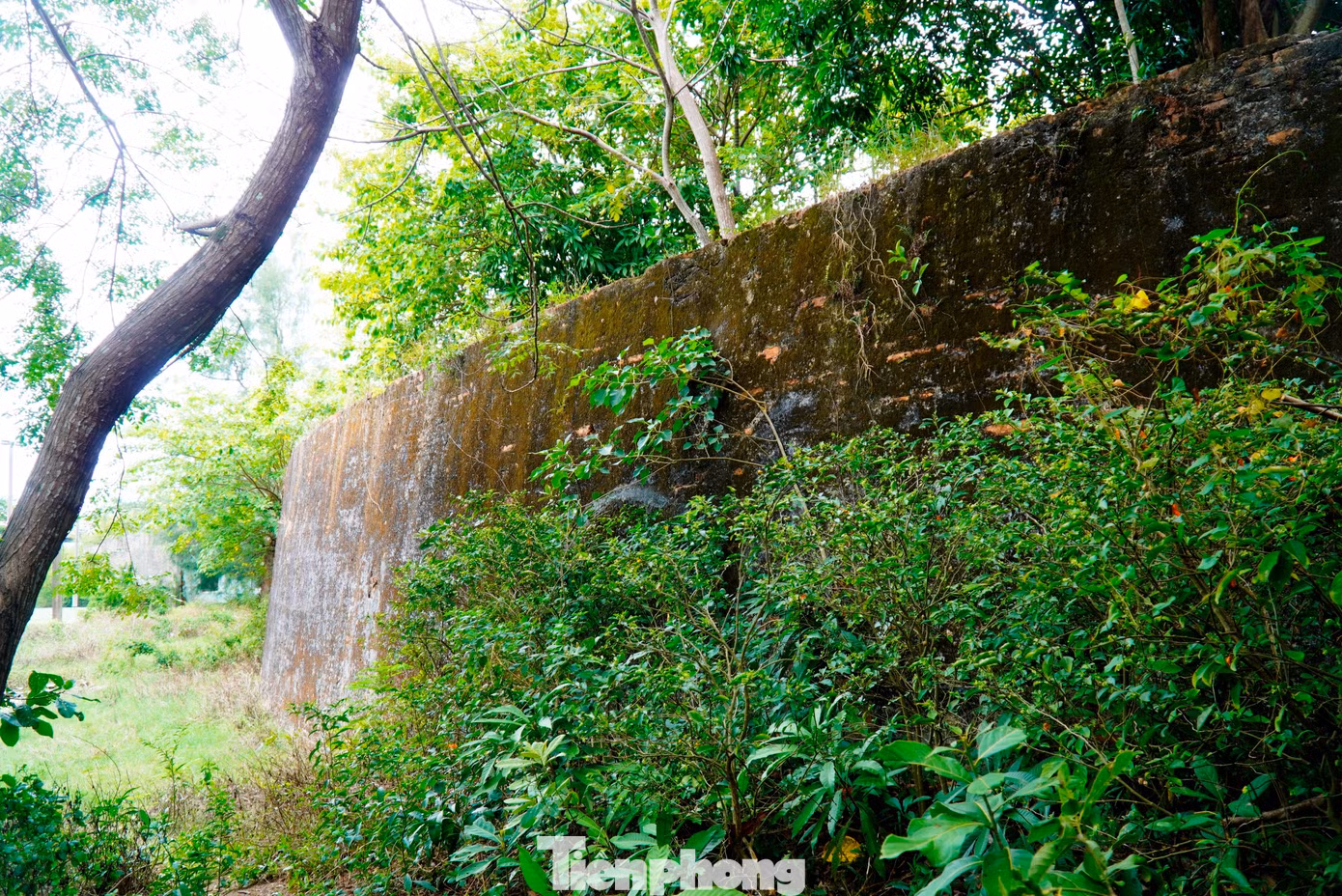 tp-c_3-tran-hai-thanh.jpg