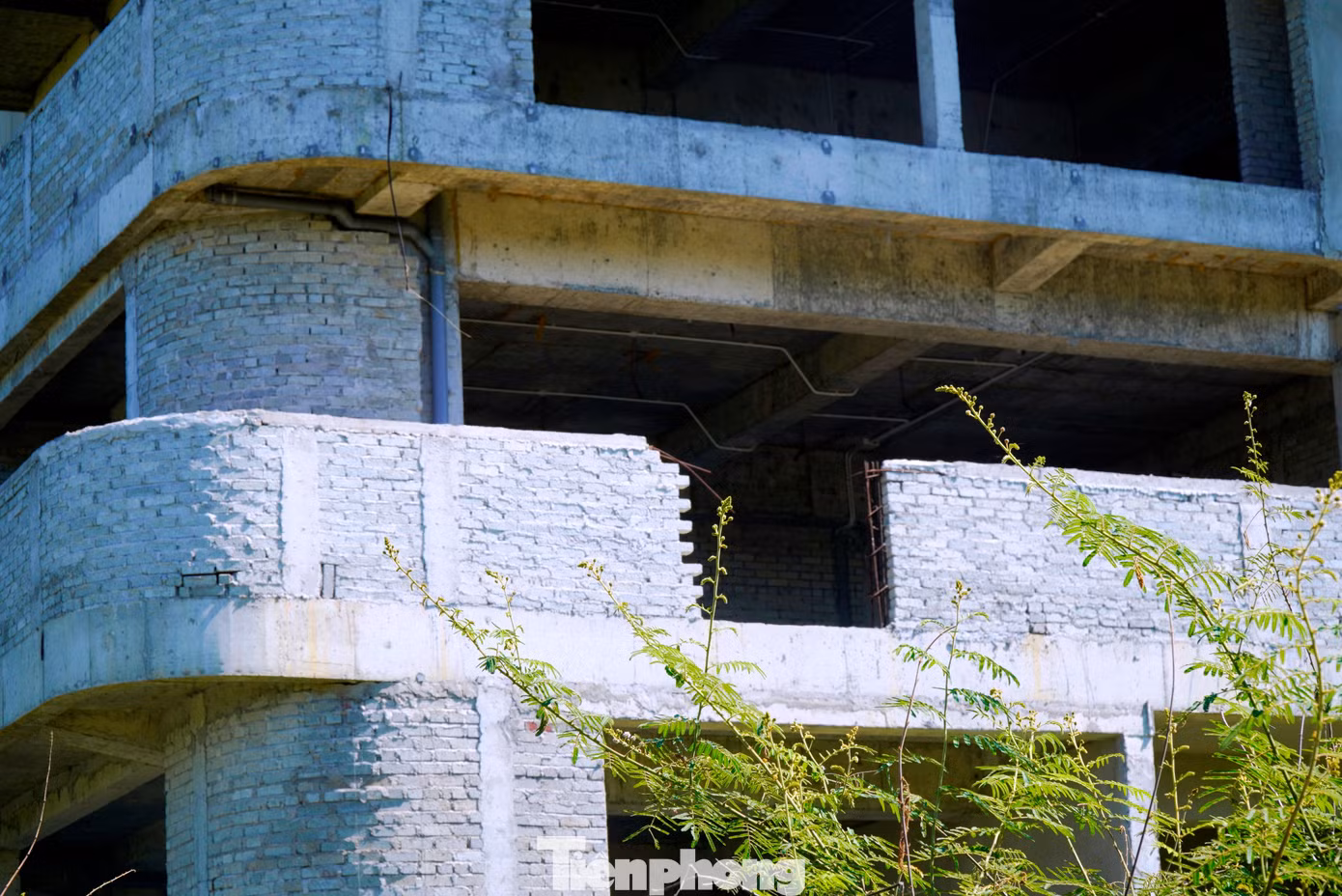 tp-c_7-toa-nha-cntt-hue-1.jpg