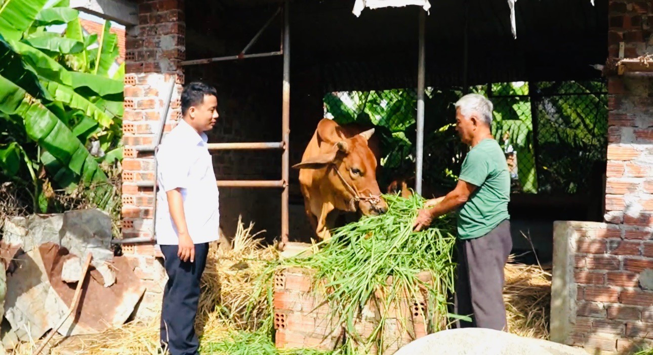 Từ 255 con bò hỗ trợ ban đầu, số bò của "Ngân hàng bò" trong toàn dân hiện đã lên đến hơn 2.000 con. 223fda185366d8388177.jpg