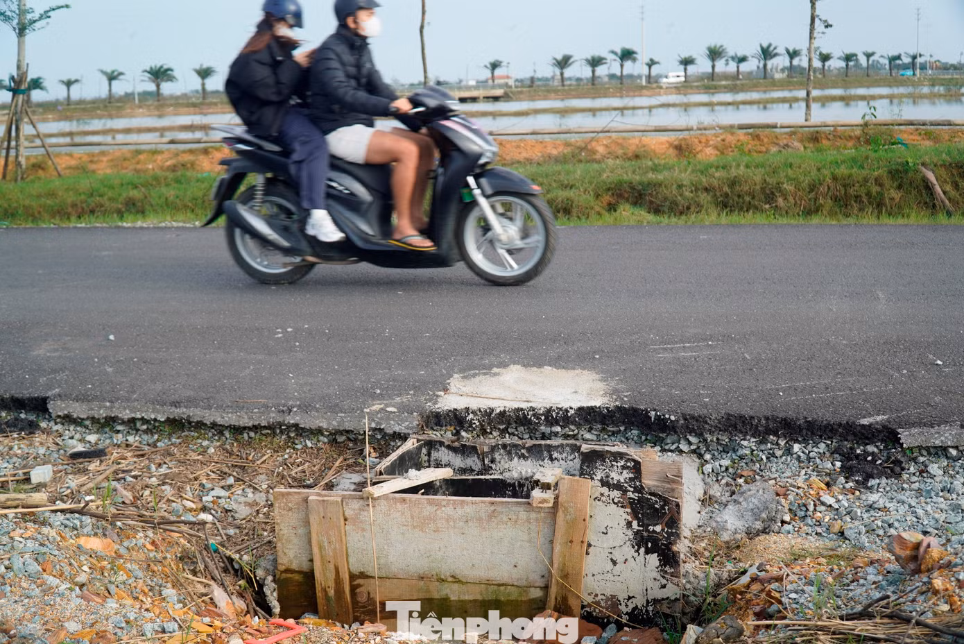 tp-9-1-da-phong-hoa-duong-cho-mai-tan-my-1.jpg