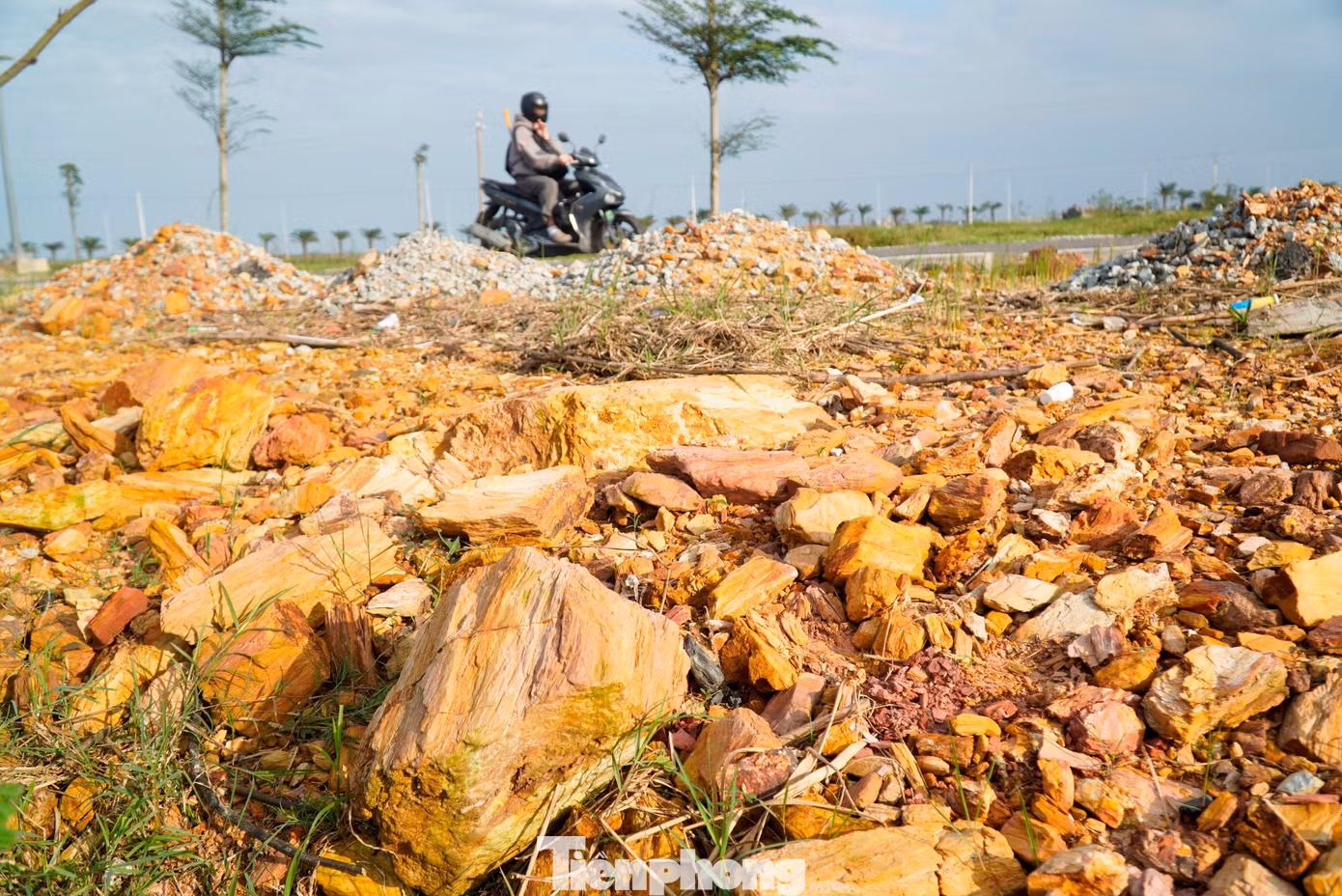 tp-1-da-phong-hoa-duong-cho-mai-tan-my.jpg