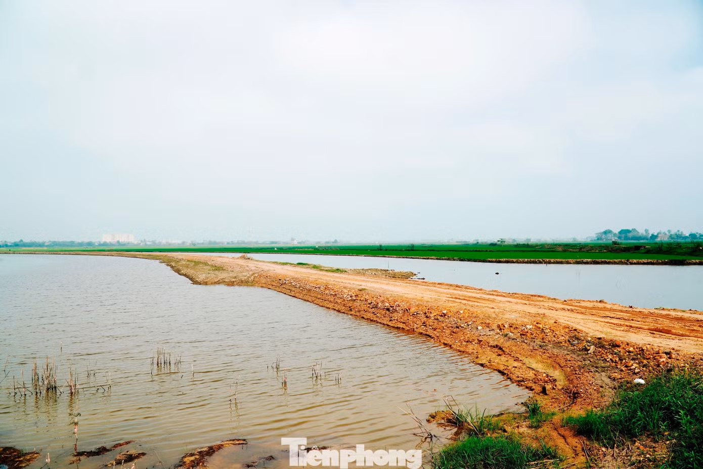 tp-6-duong-to-huu.jpg