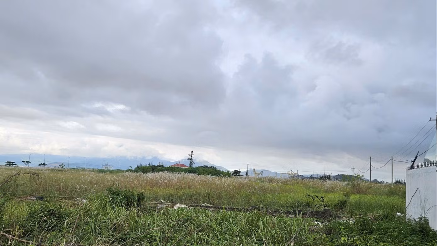 bd39eae943a2cffc96b3-954.jpg