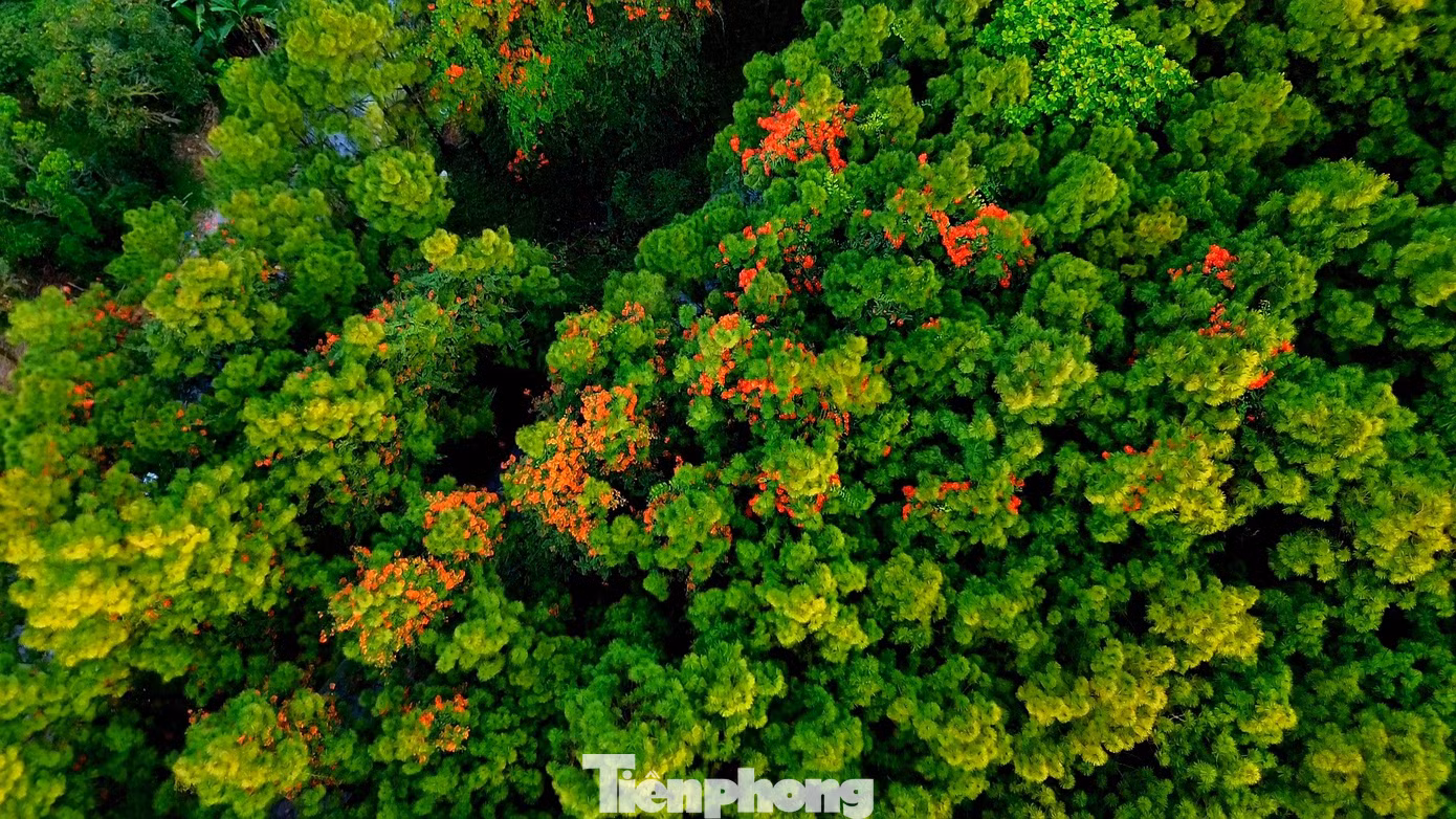 tp-9-1-phuong-nui-hue-1.jpg