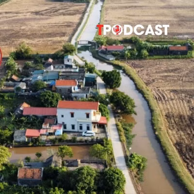 Đất không giấy tờ sẽ được cấp sổ đỏ nếu đáp ứng những điều kiện?