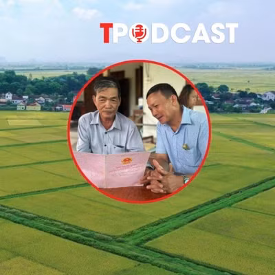 Đất sau 'dồn điền đổi thửa' sẽ được cấp sổ đỏ như thế nào?