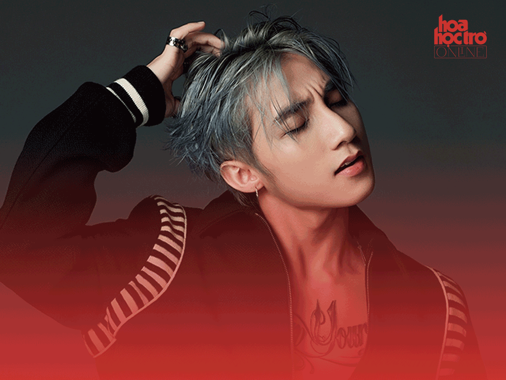 Những phát ngôn "để đời" của Sơn Tùng M-TP, Mai Ngô, Ngọc Trinh... trong năm 2016 ảnh 1