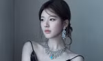 Quyền lực của Triệu Lộ Tư