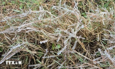 Tận thấy băng tuyết trên đỉnh Mẫu Sơn