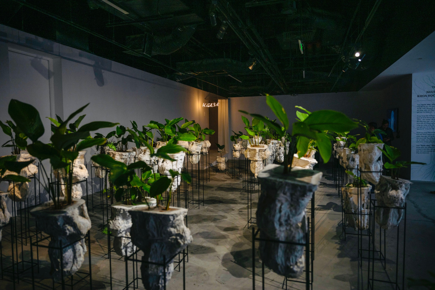 khong-gian-trien-lam-toa-v-diem-cham-khoa-hoc-7-1.jpg