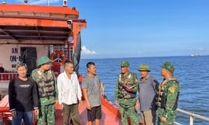 Quảng Ninh, Ninh Bình cấm biển ứng phó bão số 11