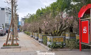 Vỉa hè và chốt thu phí xe ở Quảng Ninh được 'giải phóng' sau bài viết trên Báo Tiền Phong