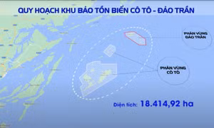 Ban Quản lý Di sản thế giới vịnh Hạ Long, Yên Tử nhận thêm Khu bảo tồn biển hơn 18.000ha