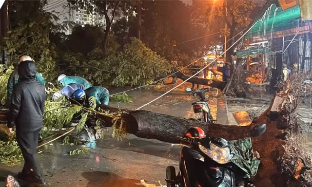 Cây xanh bật gốc đè trúng hai bà cháu ở TPHCM