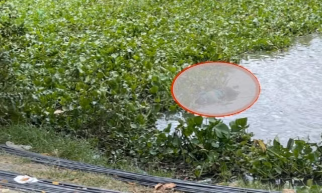 Tìm cô gái nghi nhảy cầu tự tử, phát hiện thi thể nam giới