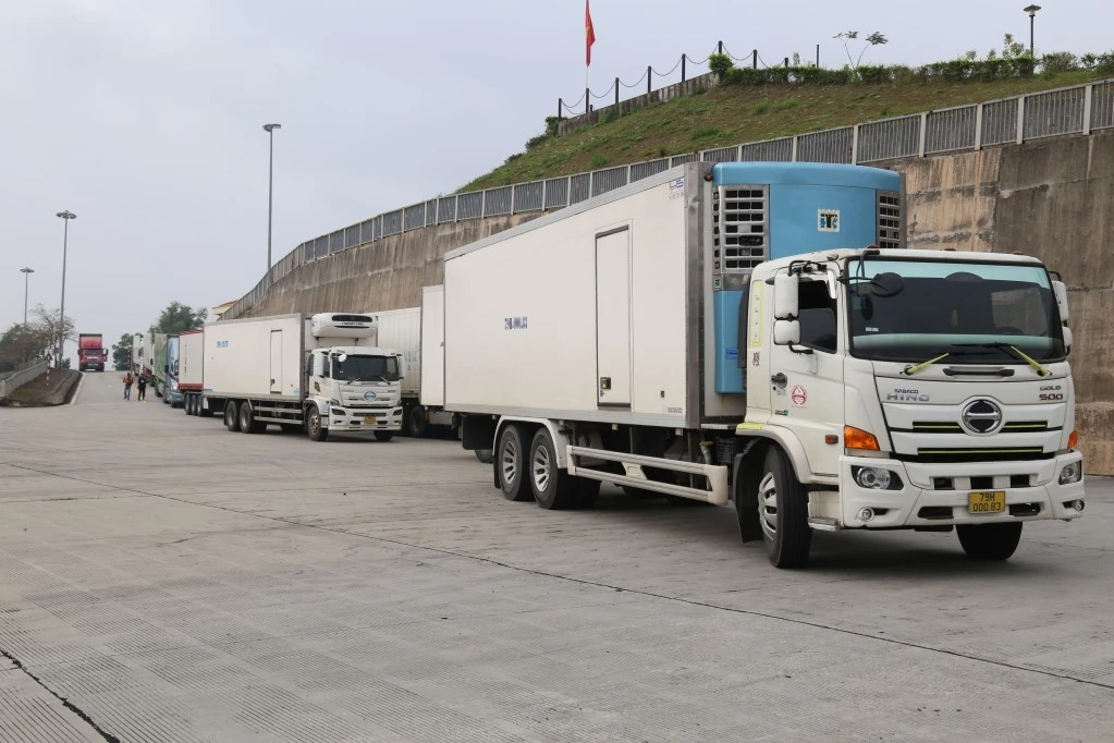 Hoạt động xuất nhập khẩu tại Móng Cái trở lại bình thường sau Tết, kim ngạch tăng mạnh