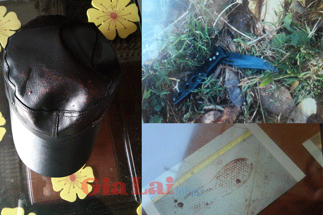 Vụ thảm sát ở Gia Lai: Trộm cắp, bị phát hiện nên giết người