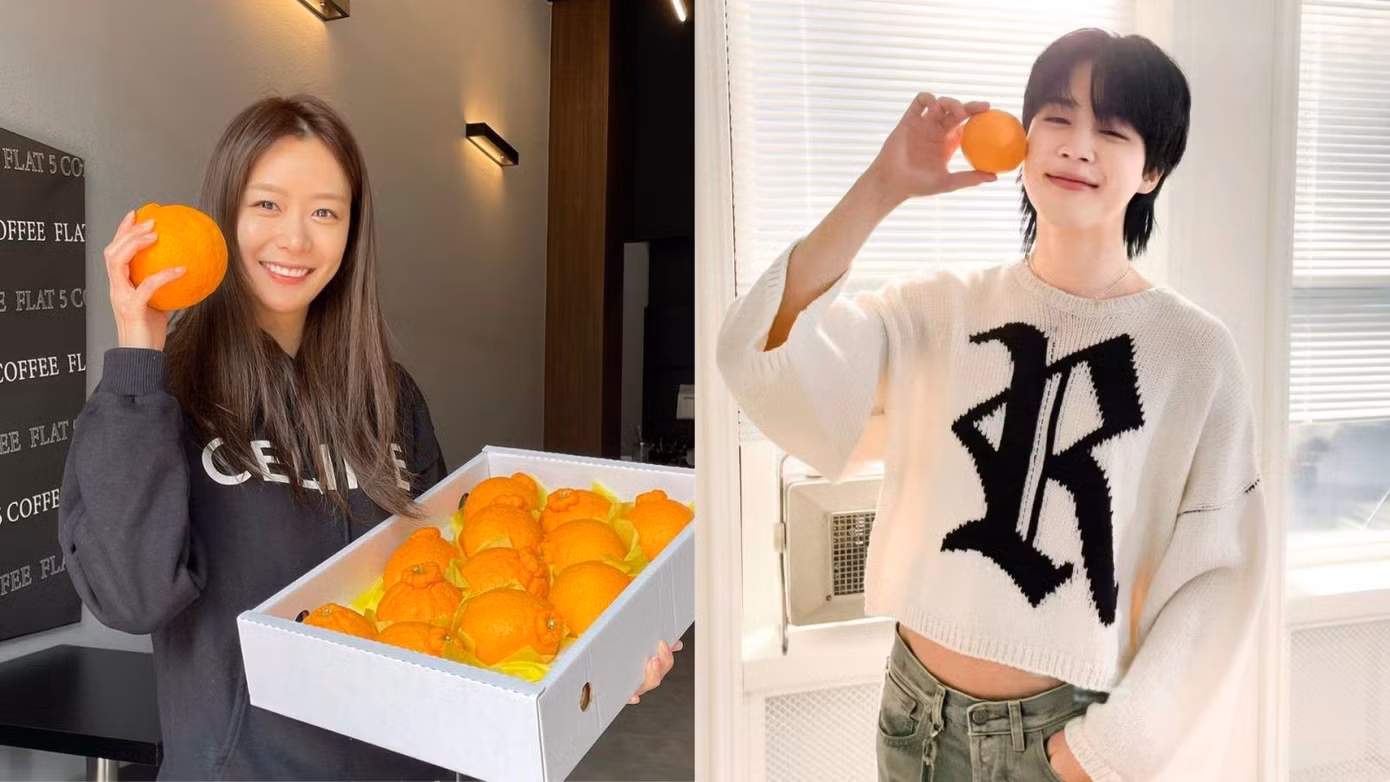 Người hâm mộ tin rằng việc "lỡ tay" đăng tải đoạn video là động thái "trả đũa" của Song Da Eun cho những chỉ trích vừa qua của những khán giả quá khích.