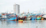 Khánh Hòa cấm biển từ 7 giờ ngày 28/11 để ứng phó bão số 15