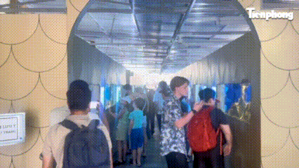 Khám phá 'đại dương kỳ bí' giữa lòng Nha Trang - Báo điện tử Tiền Phong