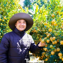 Quất Tết trúng mùa, nhà vườn dồn dập chốt đơn 