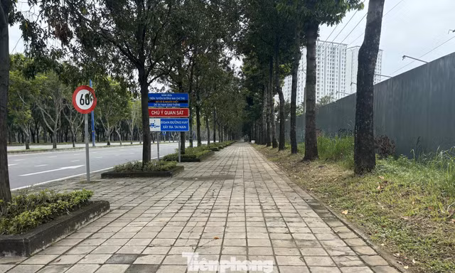 Cận cảnh tuyến đường đầu tiên ở TPHCM sẽ cải tạo thành làn xe đạp 