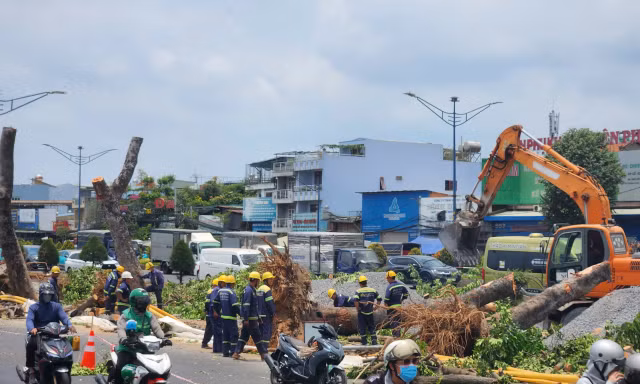 Di dời hàng trăm cây xanh mở đường ga ngầm metro số 2