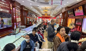 Giá vàng tiếp tục gây bất ngờ? 