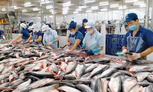 ‘Giải cứu' thanh long, hồ tiêu,... đang tắc đường sang châu Âu