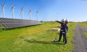 Sắp trình Chính phủ xem xét dự án xanh vay vốn lãi suất 2%/năm