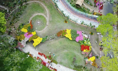 Cận cảnh Bản đồ hoa lớn nhất Việt Nam