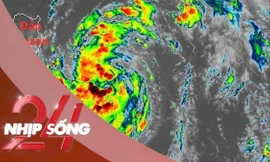 NHỊP SỐNG 24: Bão Matmo cách Biển Đông 650km, ảnh hưởng trực tiếp Bắc Bộ ngày 6/10