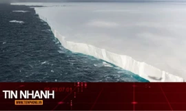 TIN NHANH: Tảng băng trôi lớn nhất thế giới nặng 1.000 tỷ tấn đã vỡ