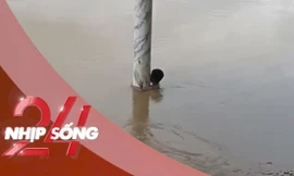 NHỊP SỐNG 24: Tranh luận câu chuyện cứu bé trai 'mắc kẹt' dưới sông Lam