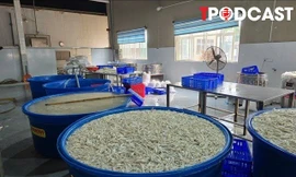 NÓNG 14/7: Phát hiện hơn 13 tấn chân gà ngâm hóa chất tẩy trắng