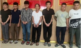Bắt 8 đối tượng trộm và tiêu thụ hơn 2 tấn chó