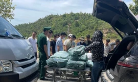 Bắt 2 đối tượng vận chuyển gần 300 kg ma túy