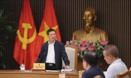 Phó Thủ tướng: Cổ phần hóa không phải để người ta vào mua rồi ‘lấy đất đem bán’ 