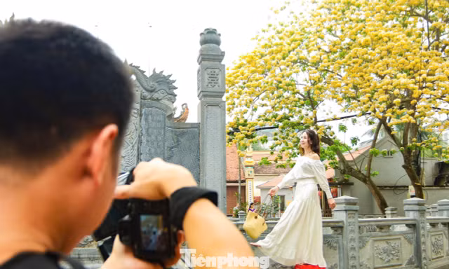 Người Hà Nội bắc ghế săn ảnh hoa bún chỉ nở một lần trong năm